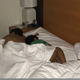 The Savali men asleep in the hotel Sept. 1, 2017. Kirsten and Sir Walter are awake and thankful. (KWS/The Root)